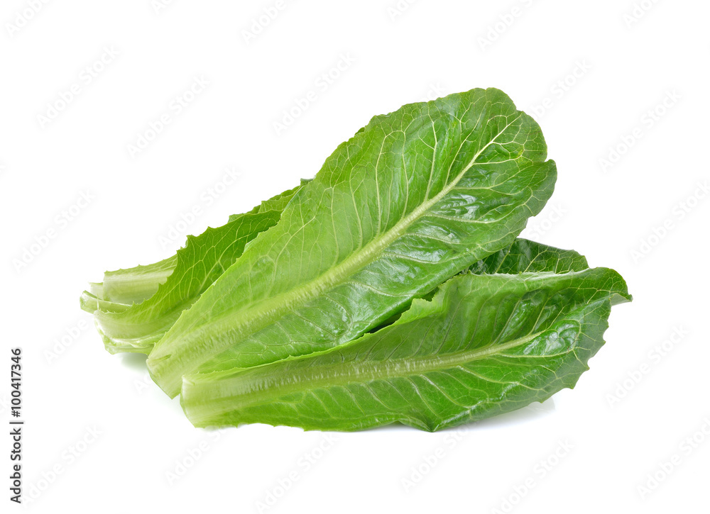 Fresh cos on white background Fresh cos on white background