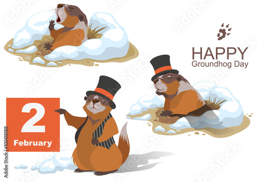 Happy Groundhog Day. Marmot holding February 2