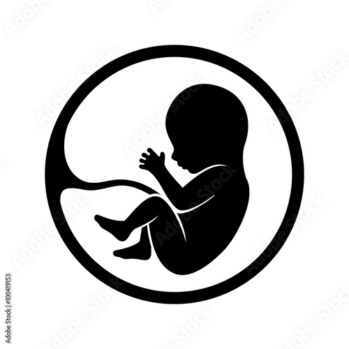 Photo Fetus Icon Isolated on White Background