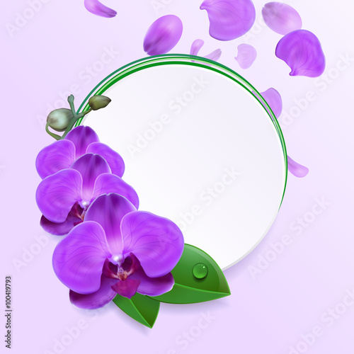 Fototapeta Naklejka Na Ścianę i Meble -  Banner with Purple Orchids