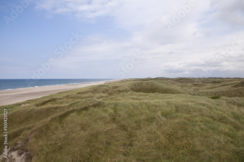 Endless Beach and Sand Dunes. The west coast of Denmark feels like one endless beach bounded by sand dune covered in beautifully textured and delicately coloured dune grass. photo