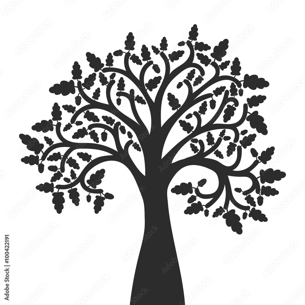 Obraz premium silhouette of oak tree with leaves