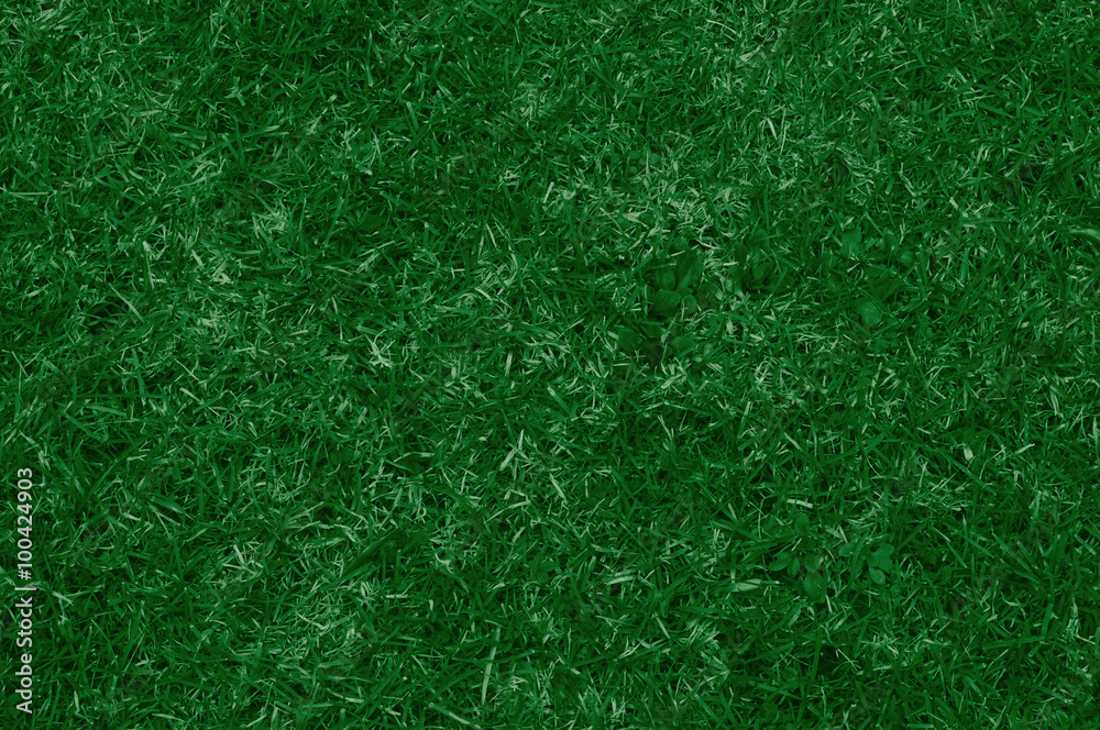 Obraz premium erba. vista dall'alto di un prato verde