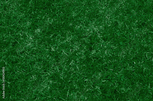 erba. vista dall'alto di un prato verde