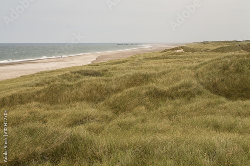 Tableau sur toile Wind Through the Dune Grass