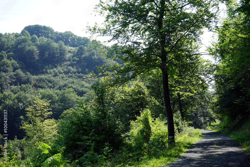 Obraz premium Dirt road