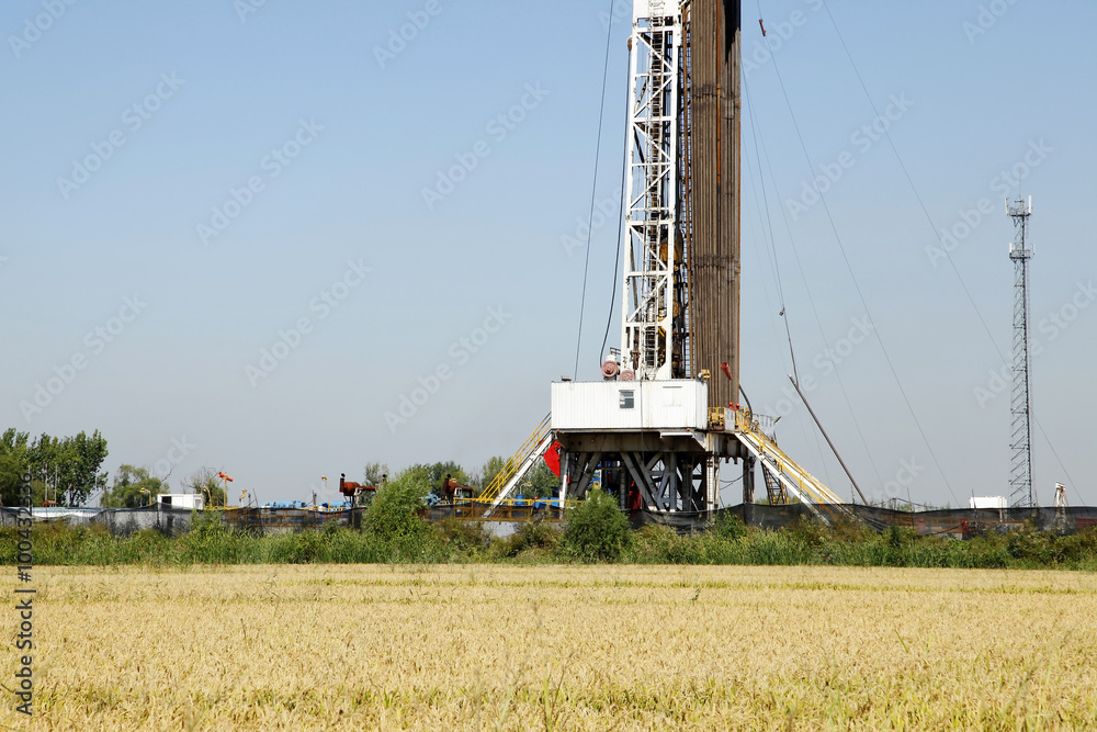 Fototapeta premium Oilfield derrick and paddy fields