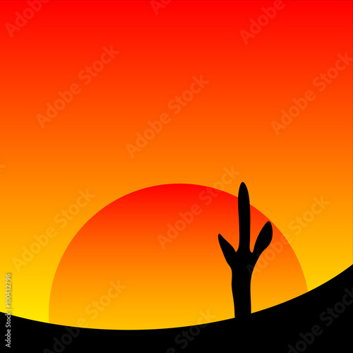 Desert sunset with cactus plants.