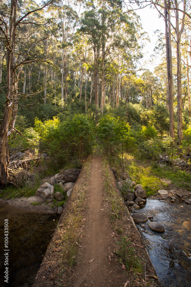 Delatite River Trail at Mt Buller Delatite River Trail at Mt Buller