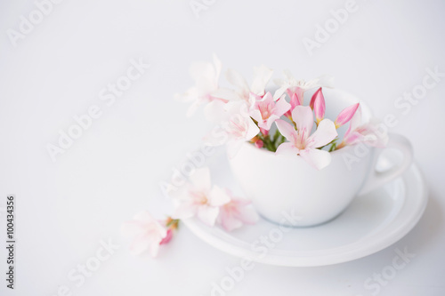 still life with flowers in white cup