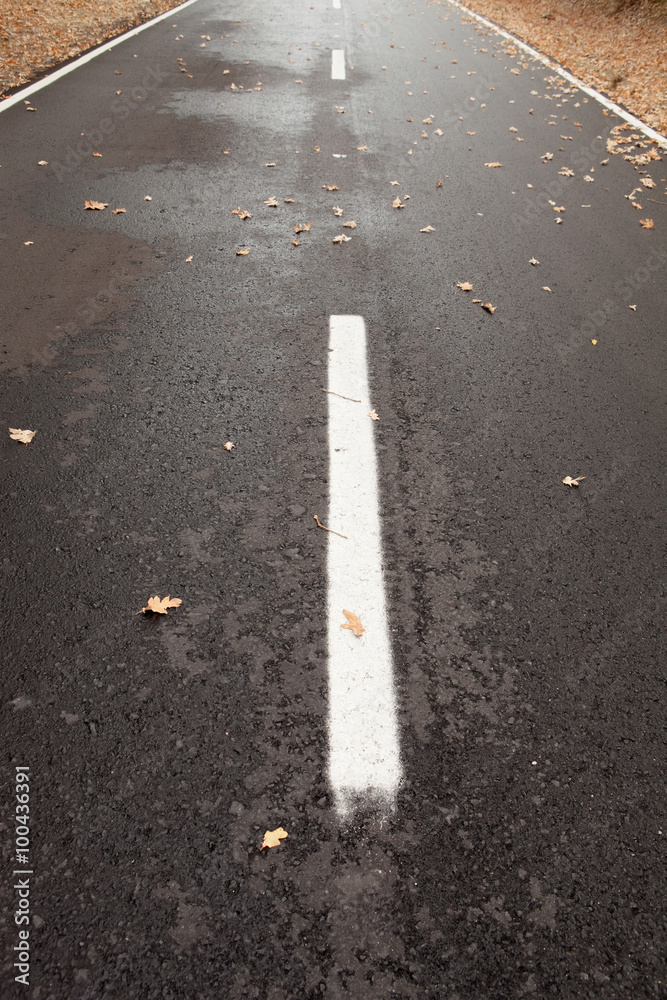 Lonely and wet road with leaves falling Lonely and wet road with leaves falling