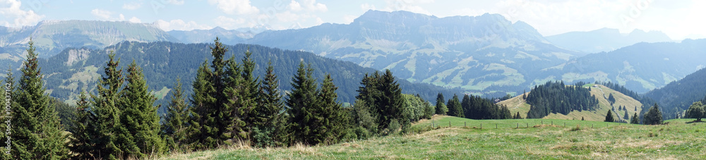 Pasture in mountain