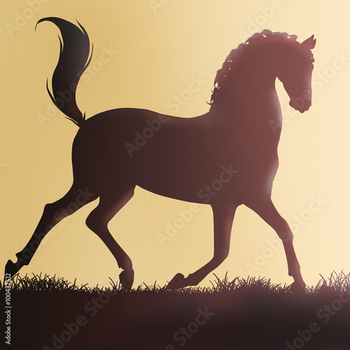 horse silhouette 