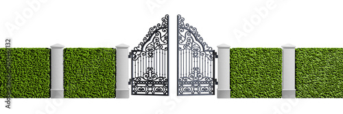 Classical design black iron gate