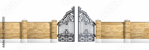 Classical design black iron gate