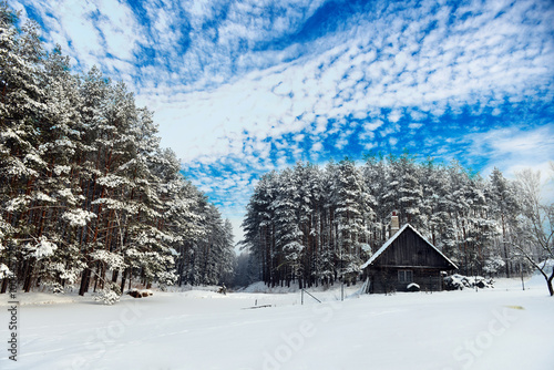  winter landscape