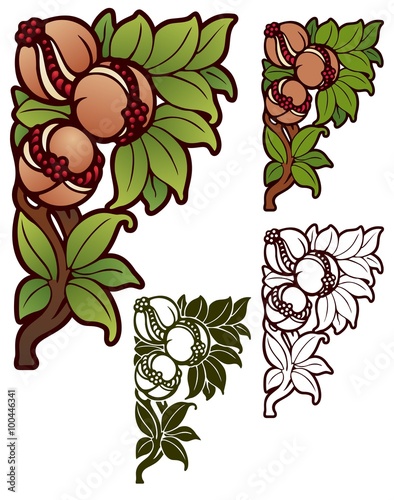 Pomegranate corner element, with variations