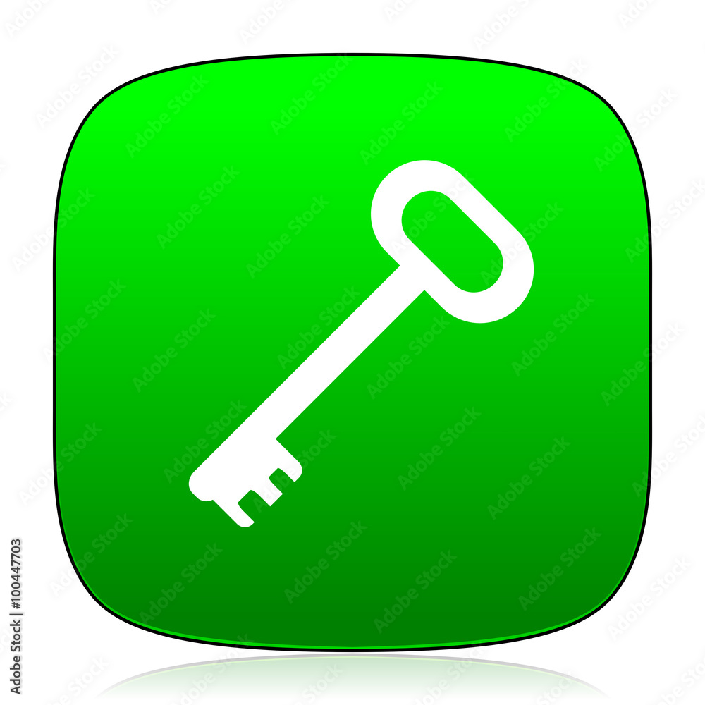 key green icon key green icon