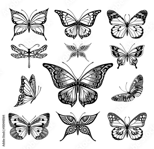 Butterflies graphic illustration © azzzya