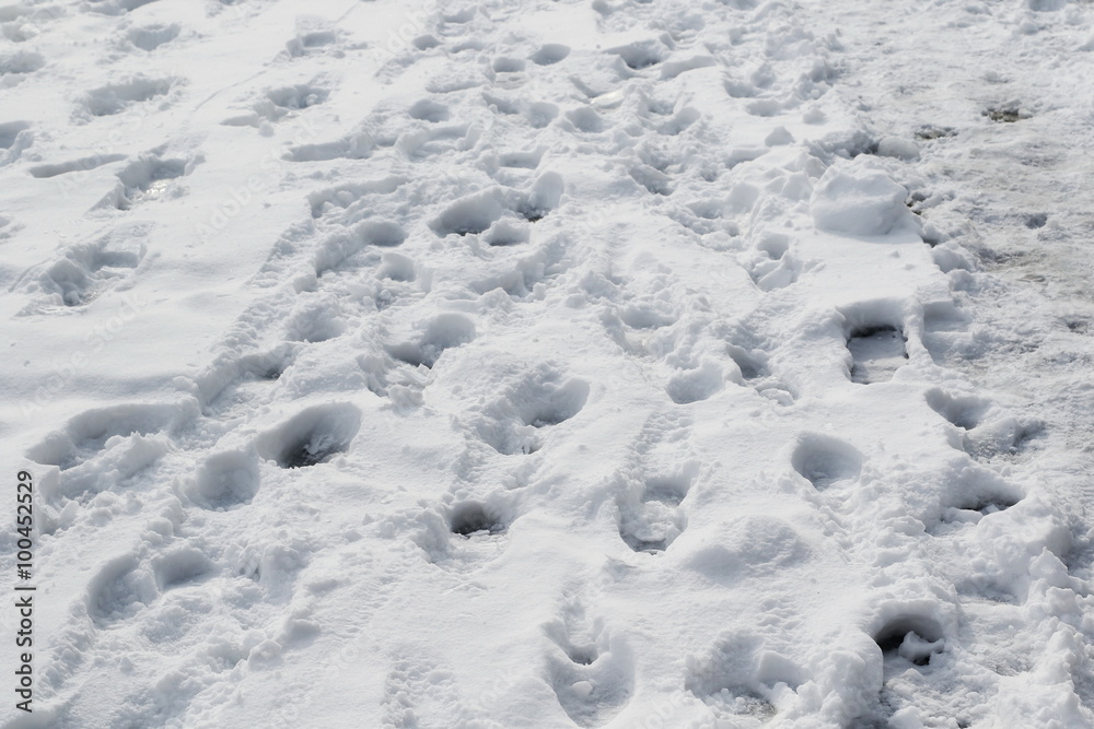 Shoeprints in snow background Shoeprints in snow background