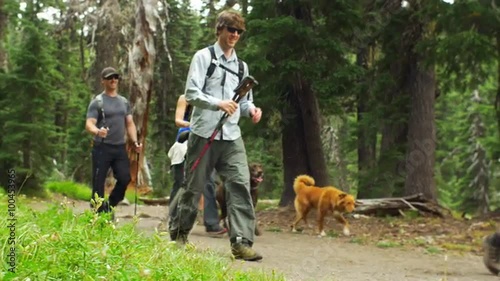 Close up shot of friends hiking together with their dogs 