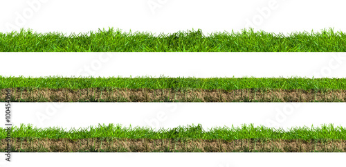 Layers of green grass section with soil isolated on white