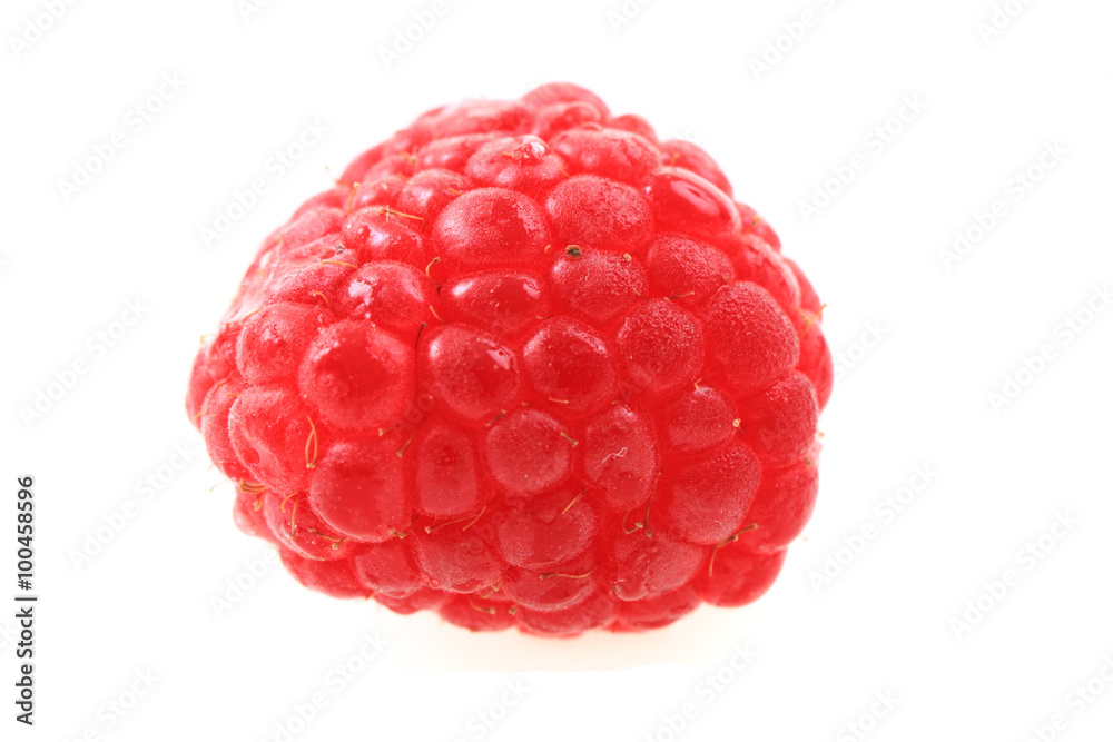 fresh raspberry isolated fresh raspberry isolated