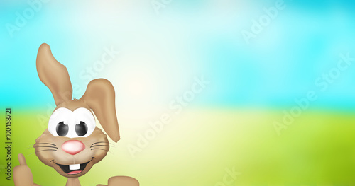 Easter Bunny Sunny Nature L...