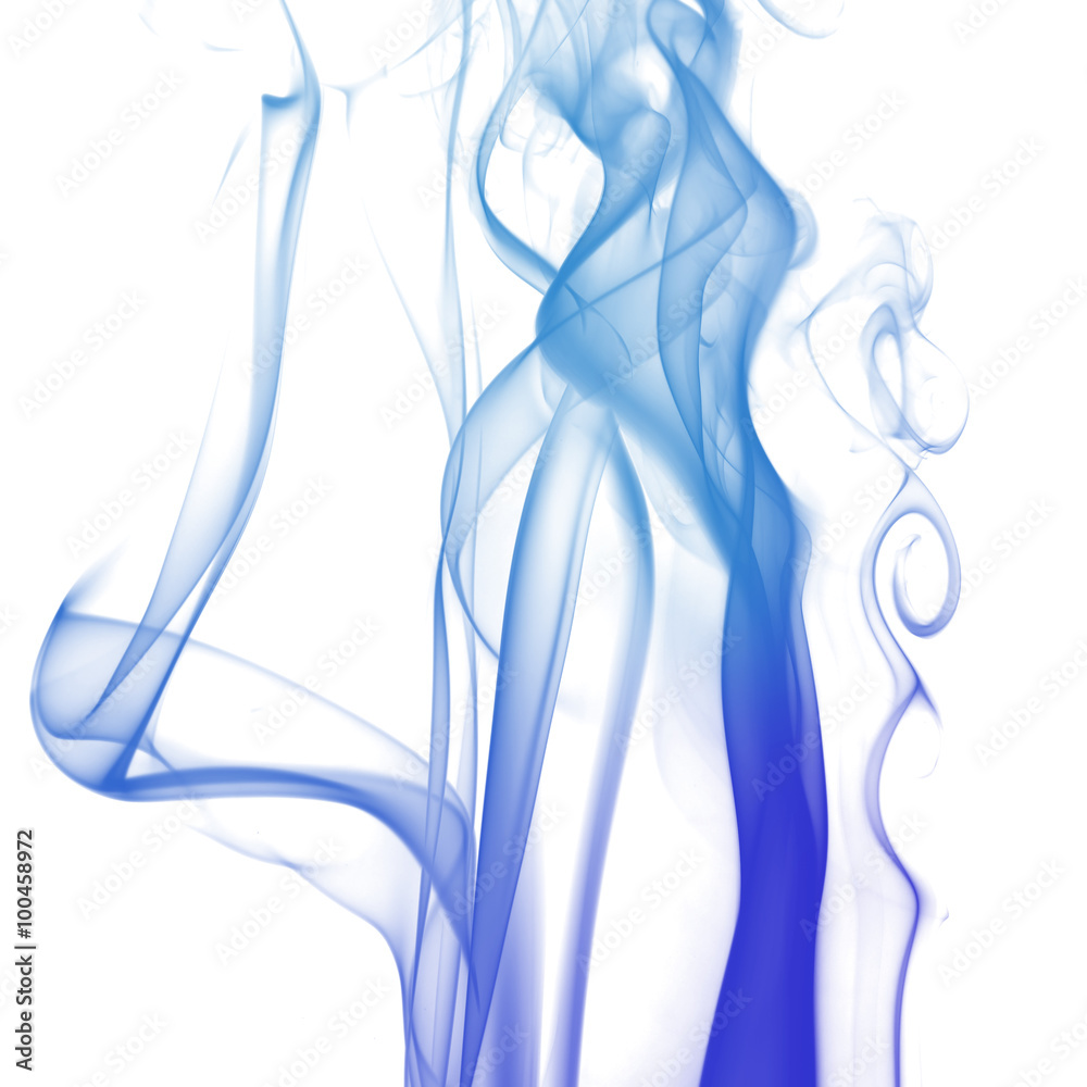 Fototapeta premium abstract background smoke curves and wave