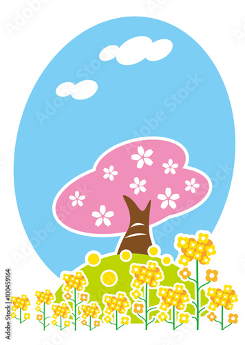 菜の花と桜
