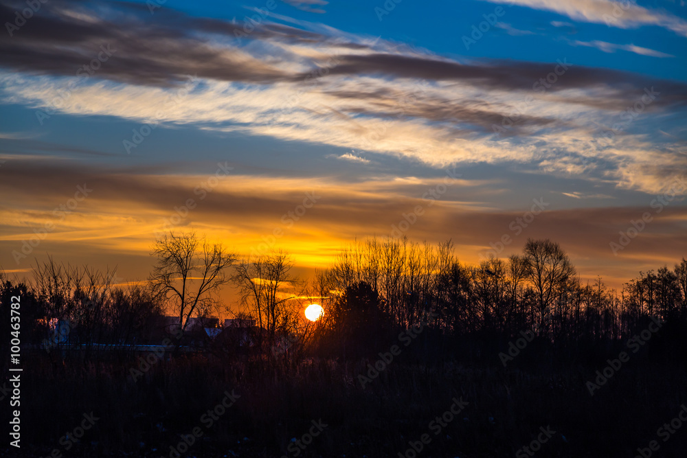Obraz premium Wschód słońca w parku