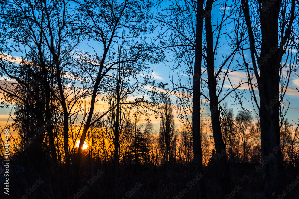 Obraz premium Wschód słońca w parku