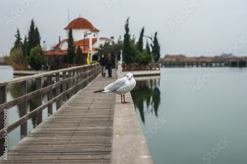 Monastery of Saint Nikolas on  small island at lake Vistonida photo