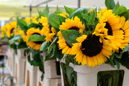 Fototapeta Naklejka Na Ścianę i Meble -  Sunflowers at Delft Market