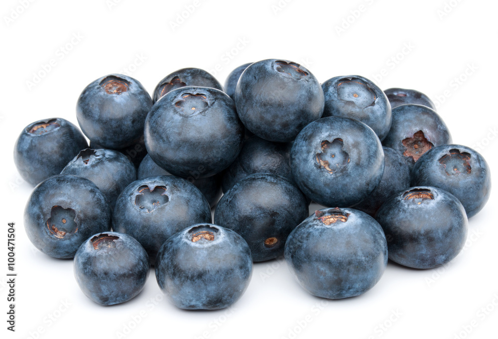 blueberry or bilberry or blackberry or blue whortleberry or huck blueberry or bilberry or blackberry or blue whortleberry or huck