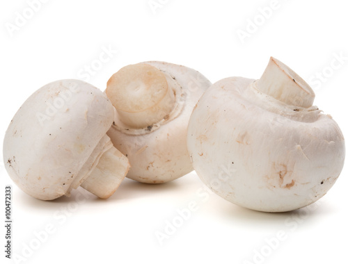 Champignon isolated on white background cutout