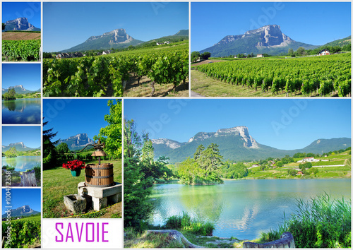 la savoie -ses vignes photo