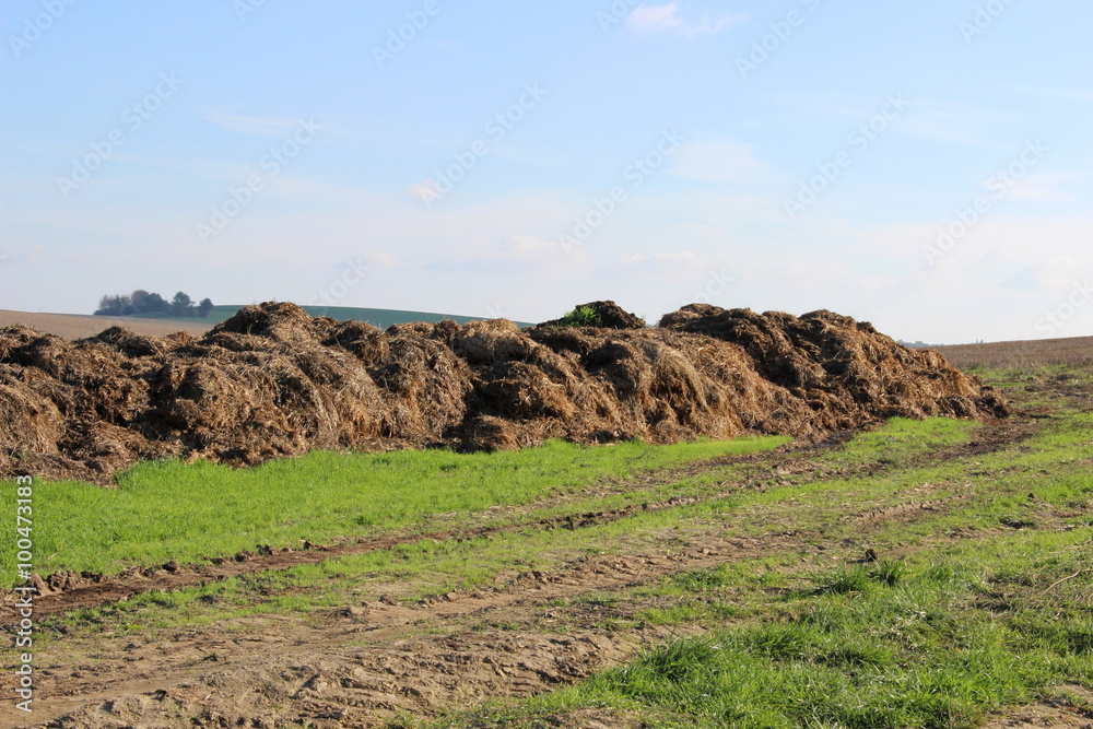 Misthaufen StockFoto Adobe Stock
