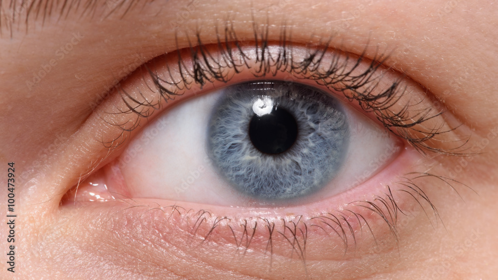 Naklejka premium Macro shot of blue eye with makeup