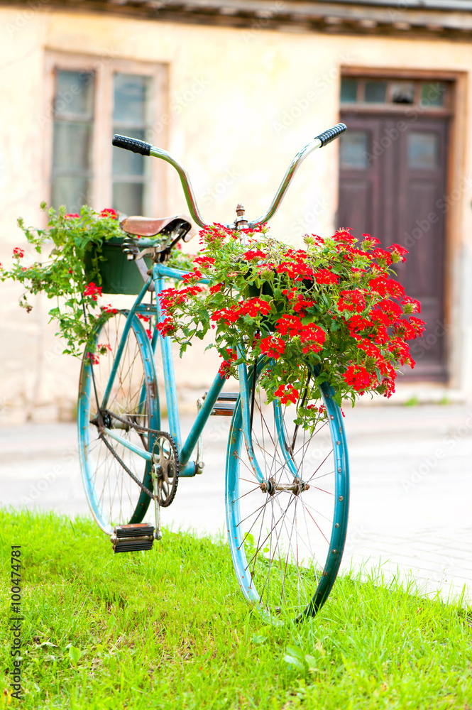 Old rustic turquoise retro bicycle - flowerbed. Outdoors.