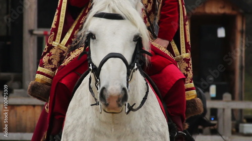 Medieval nobleman wearing luxury suit sitting astride white pedigree horse