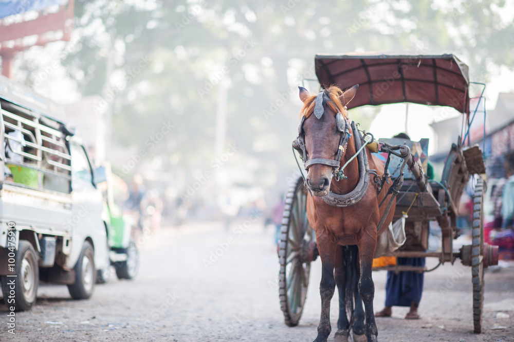 Obraz premium Horse drawn cart outside Thiri Mingalar Zay market, Loikaw, Myanmar