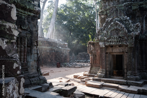 Rays of early morning light at Ta prohm ruined temple, Angkor wat, cambodia