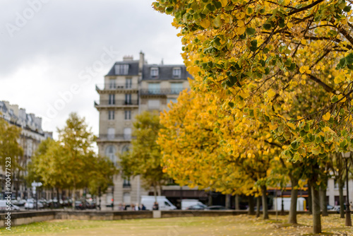 Autumn in Paris,building among yellow trees focus on trees © Daddy Cool