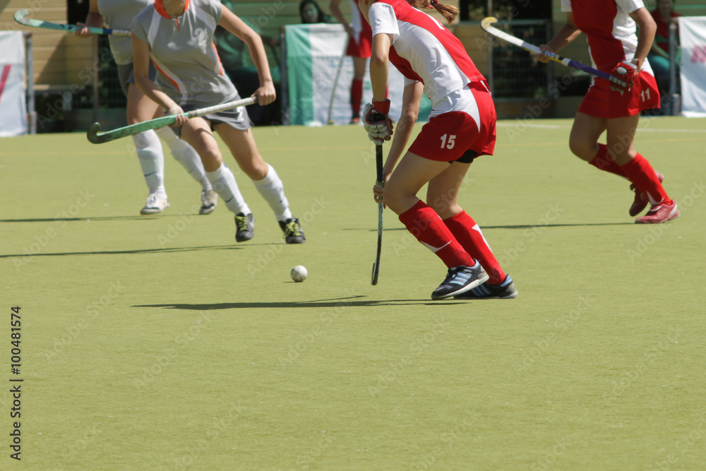 Women field hockey players with ball Stock Photo Adobe Stock