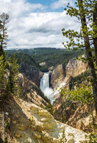Lower falls of the Yellowstone River  Wyoming  USA