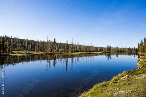 Lake showing the sky with clouds and reflections on mountains and clouds in the water in the heart of Yellowstone National Park near West Yellowstone, Wyoming, USA 