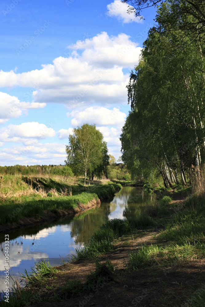 Spring river flowing through the field and copse birch Spring river flowing through the field and copse birch