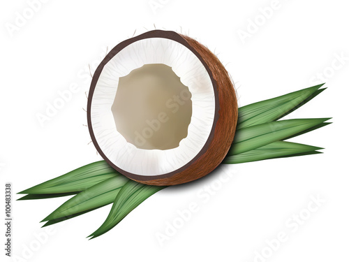 Coconut for your design