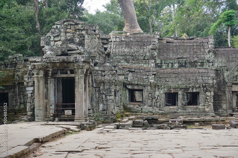 The Ta Prohm (Taprom) temple in the jungle near Angkor, Cambodia